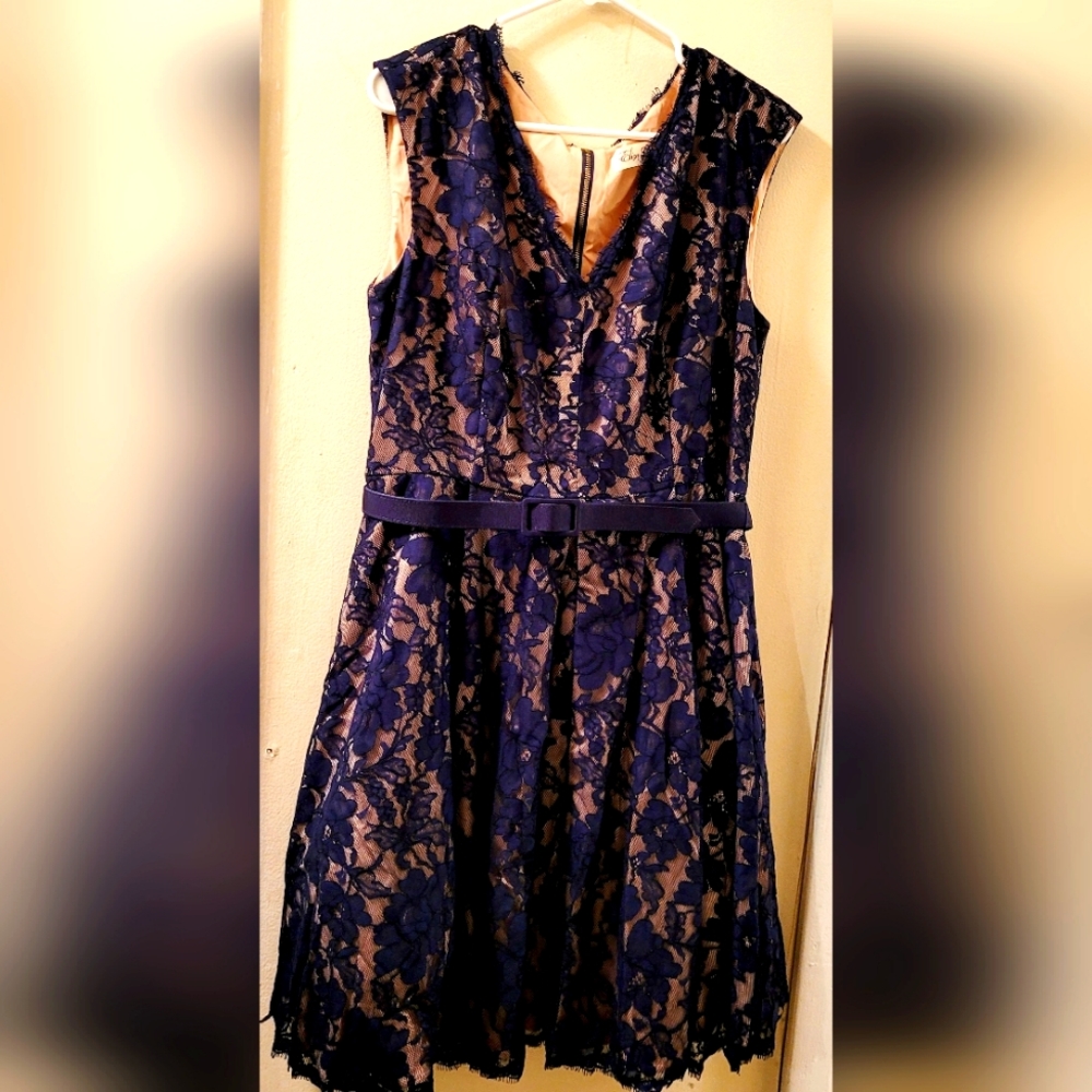 Eliza J Navy Blue Lace Fit And Flare Capped Sleeve Dress Size 14